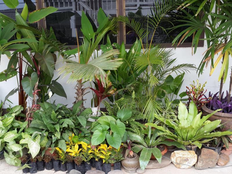 The Stay Guest House Loei Bagian luar foto